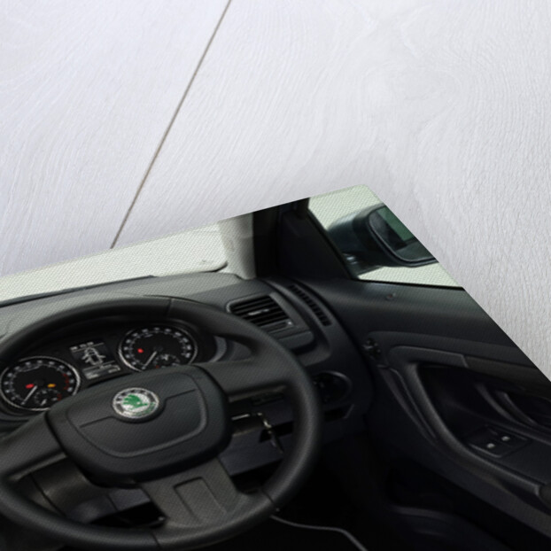 2011 Skoda Roomster Scout by Unknown