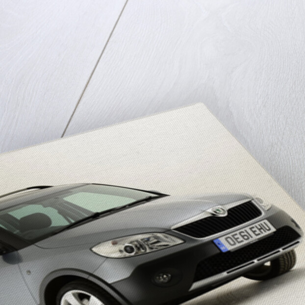 2011 Skoda Roomster Scout by Unknown