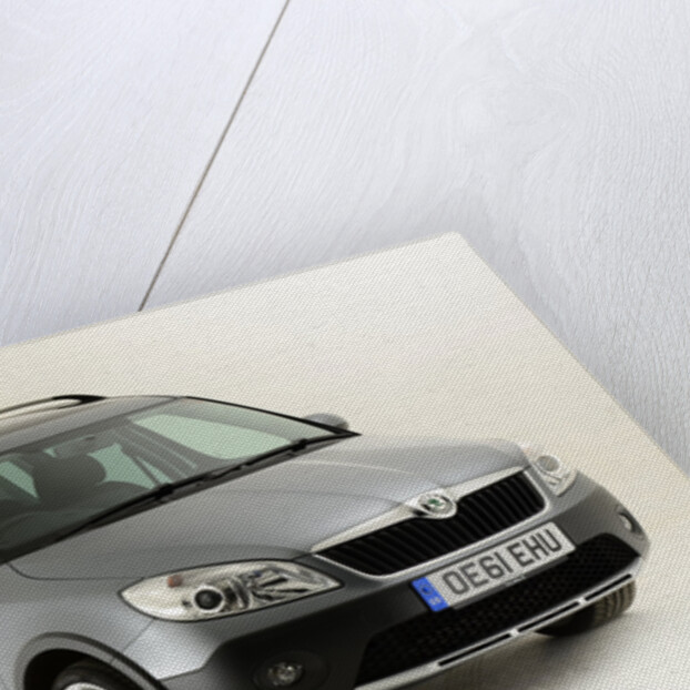 2011 Skoda Roomster Scout by Unknown