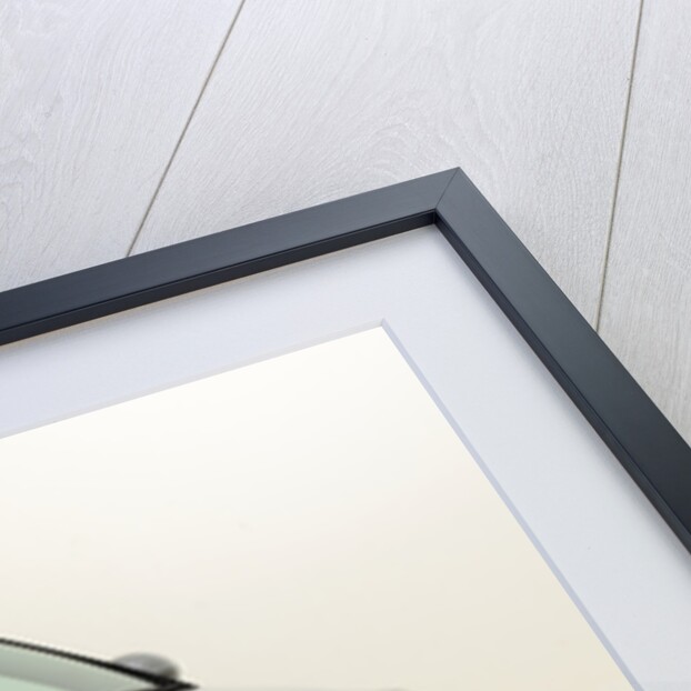 2011 Skoda Roomster Scout by Unknown