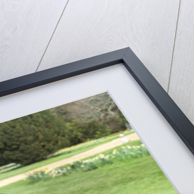 2011 Porsche 911 Carrera S by Unknown