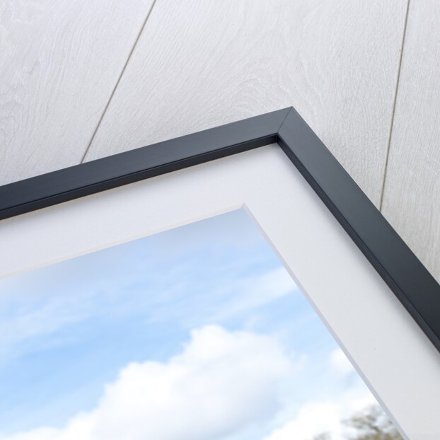 2011 Porsche 911 Carrera S by Unknown