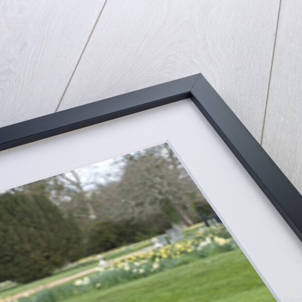 2011 Porsche 911 Carrera S by Unknown