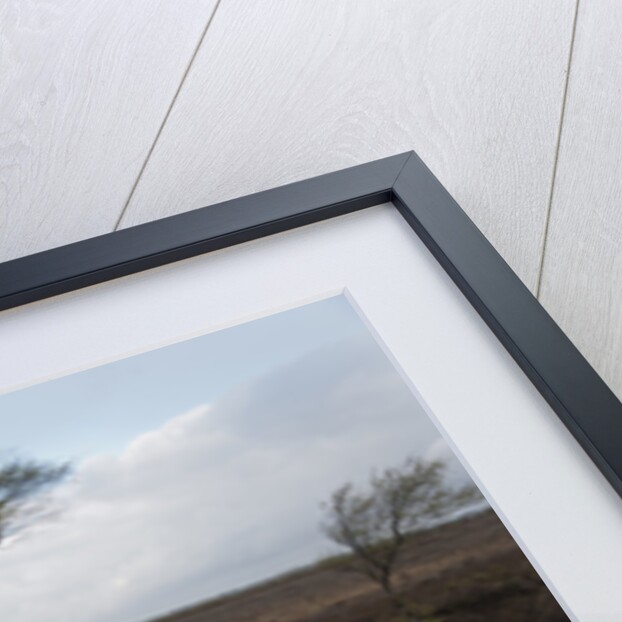 Ford Focus in flooded ditch after losing control on wet road 2012 by Unknown