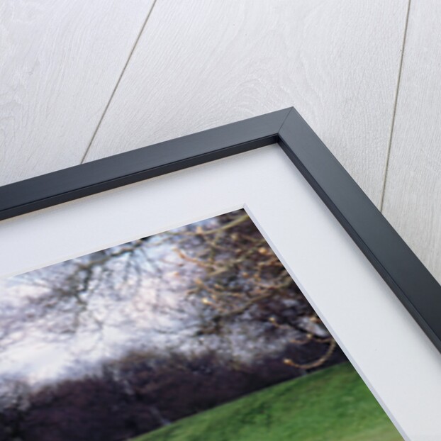 1938 Rover 14 by Unknown