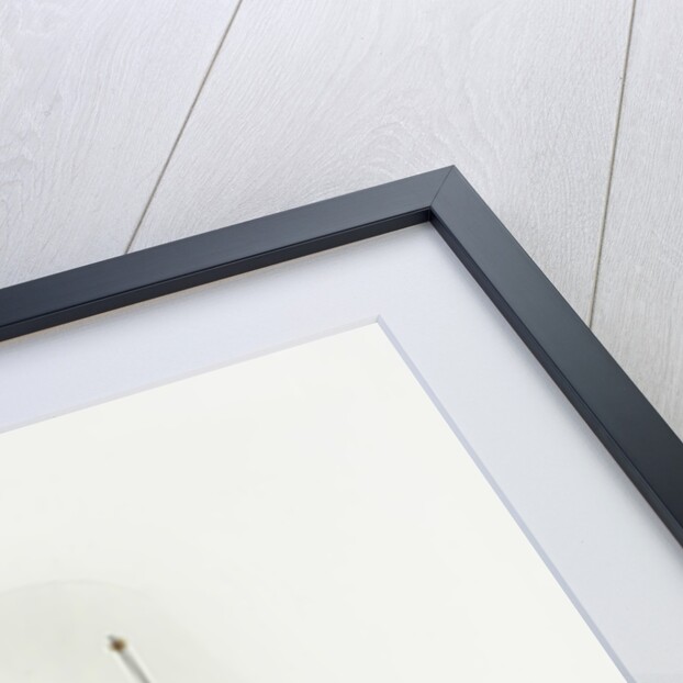 1964 BSA Sunbeam 250cc by Unknown