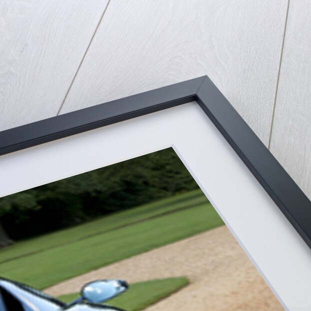 2010 Ferrari 599 GTO by Unknown