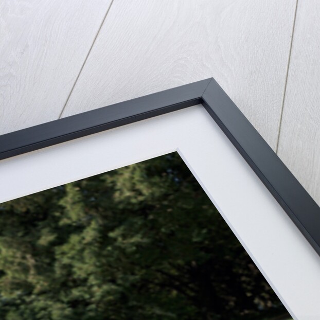 2010 Ferrari 599 GTO by Unknown