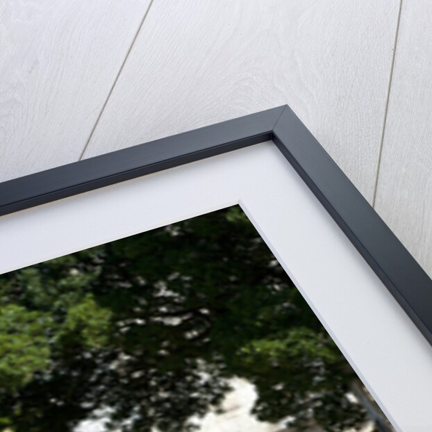 2010 Ferrari 599 GTO by Unknown