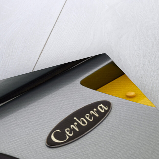 1997 TVR Cerbera by Unknown