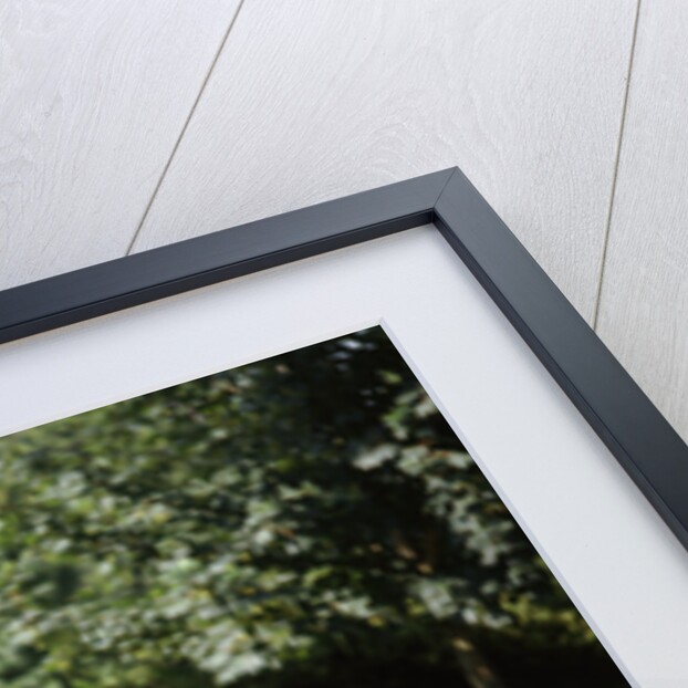 1937 Ford Model Y by Unknown