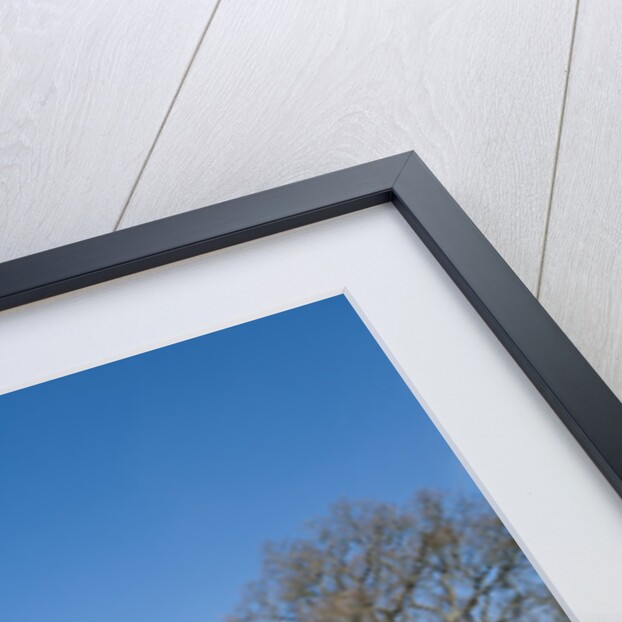 2013 Mazda CX-5 by Unknown