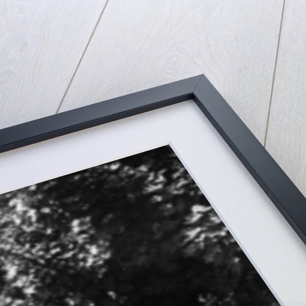 MG J2 1933 West Hants Ibberton Hill Climb by Unknown