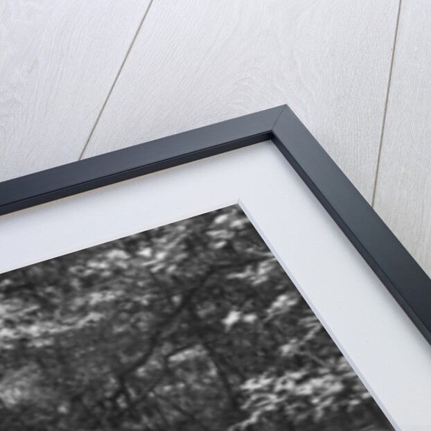 1934 Singer Nine Sports Coupe, Fingle hill by Unknown