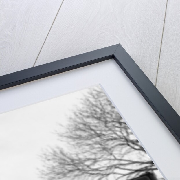 1920's Atkinson Steam Wagon by Unknown