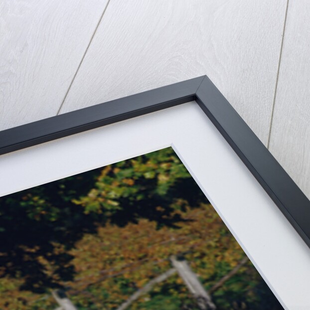 1991 Honda 750 Africa Twin by Unknown