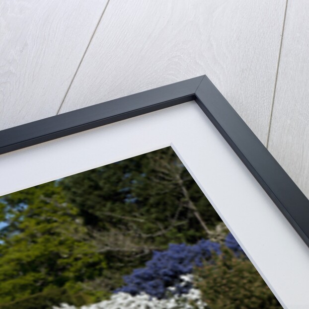 1989 Lotus Esprit by Unknown