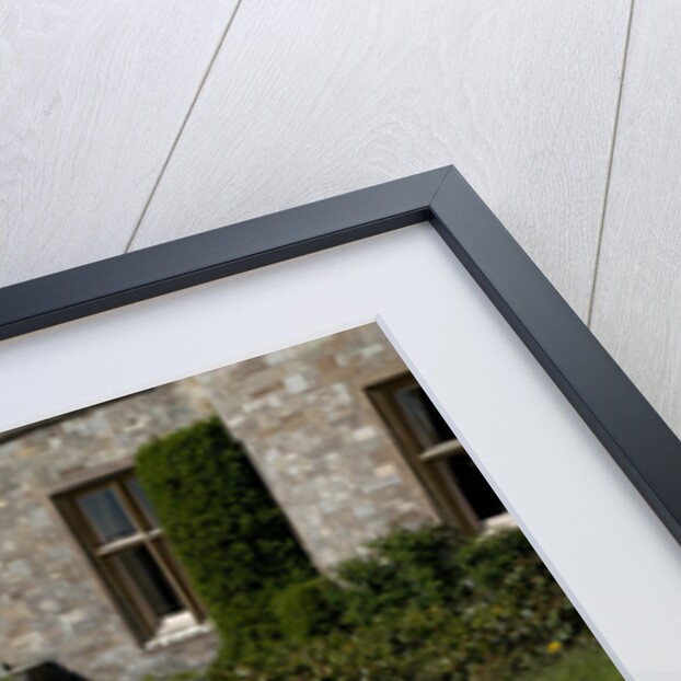 1989 Lotus Esprit by Unknown