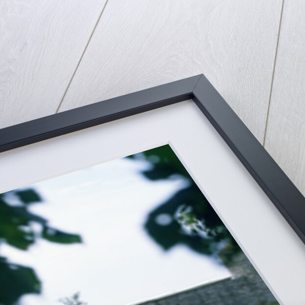 1957 Ferrari 250 GT Boano Ellena by Unknown