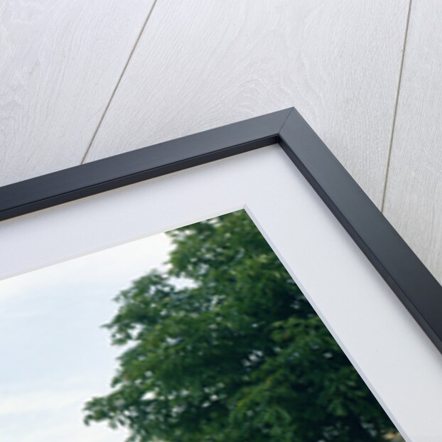 1957 Ferrari 250 GT Boano Ellena by Unknown