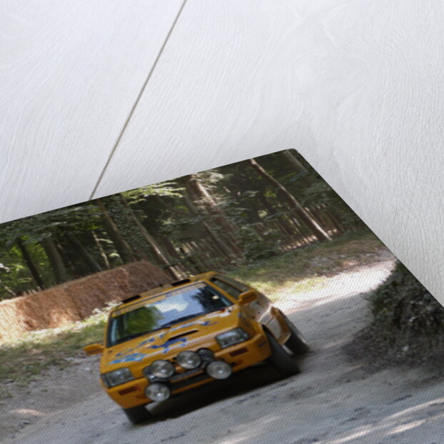 Nissan Micra Camel Rally Car Goodwood Festival of Speed 2013 by Unknown