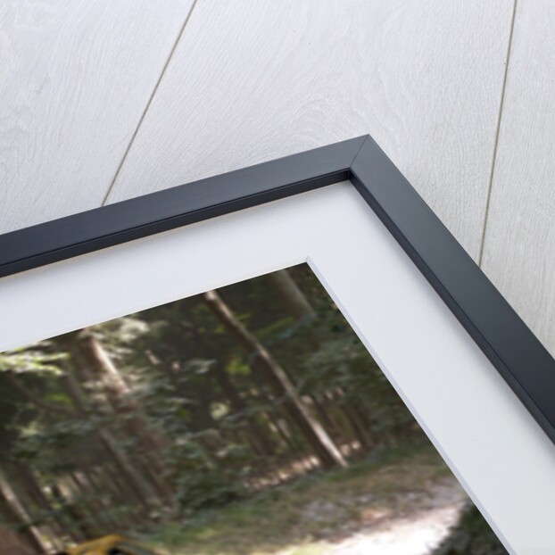 Nissan Micra Camel Rally Car Goodwood Festival of Speed 2013 by Unknown