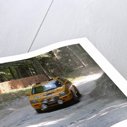 Nissan Micra Camel Rally Car Goodwood Festival of Speed 2013 by Unknown