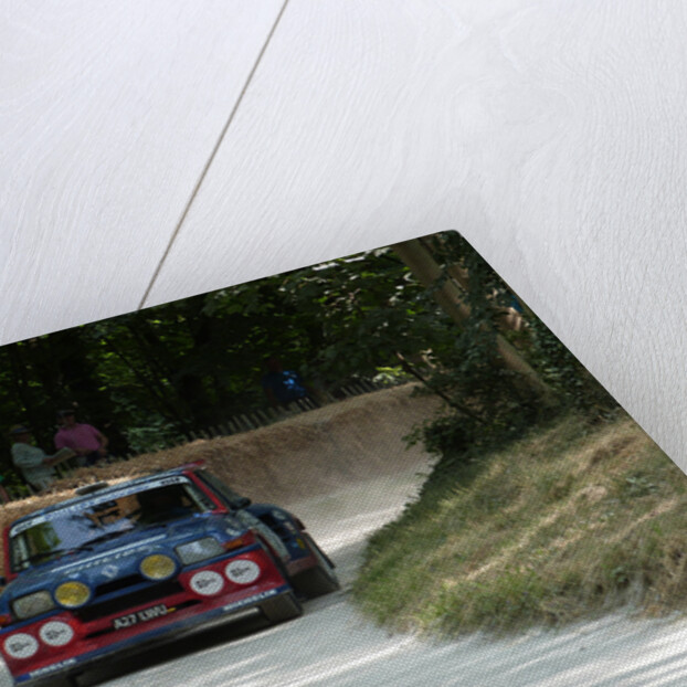 Renault 5 Rally car at Goodwood Festival of Speed 2013 by Unknown