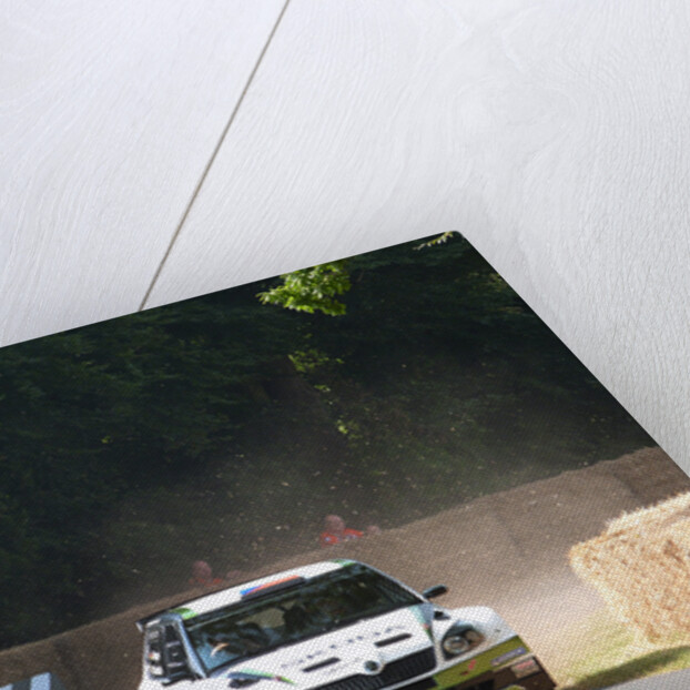 Skoda Rally car 2013 Goodwood Festival of speed by Unknown