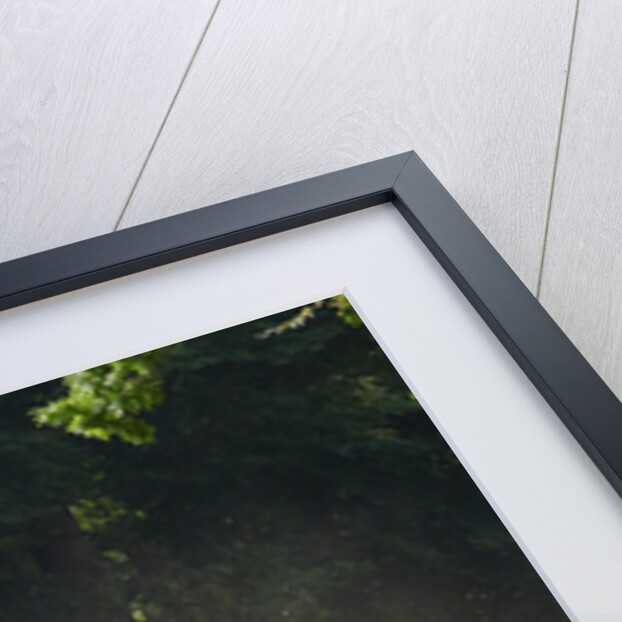 Skoda Rally car 2013 Goodwood Festival of speed by Unknown