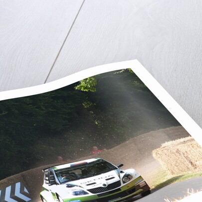 Skoda Rally car 2013 Goodwood Festival of speed by Unknown
