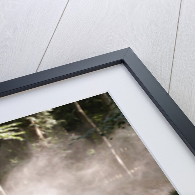 Toyota Hi Lux rally car at Goodwood Festival of Speed 2013 by Unknown