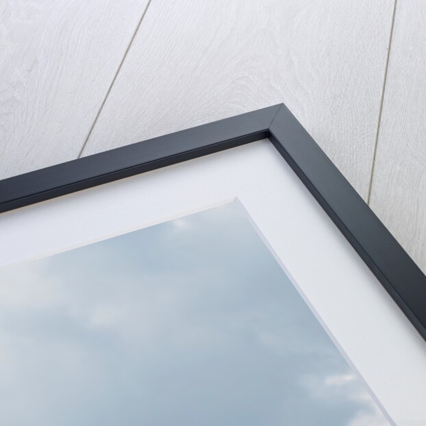 Freestyle Moto-Cross stunt motorcycling 2013 by Unknown