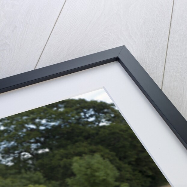 2013 Vauxhall Corsa 1.2 Eco Flex by Unknown