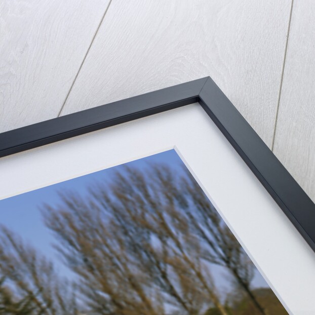 1959 Ausin Mini Seven by Unknown