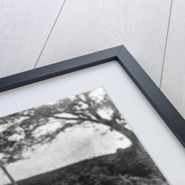 1869 Tasker traction engine with red flag man at the front by Anonymous