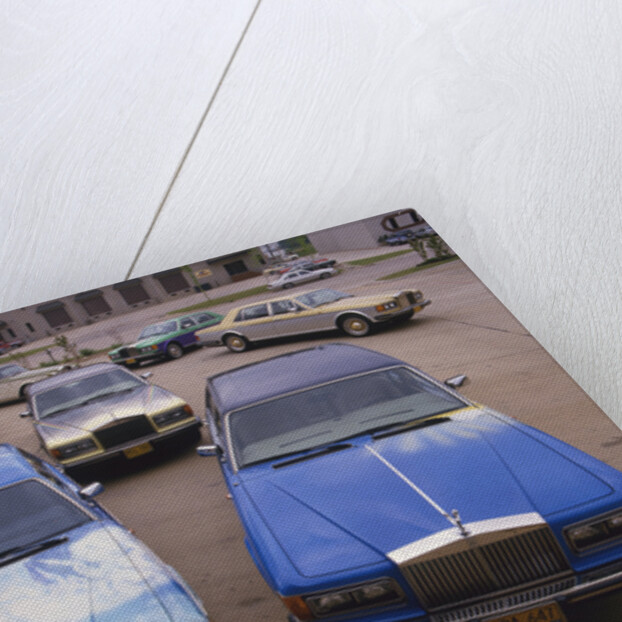 1982 Rolls Royce Silver Spur collection ex Baghwan Shree Rajneesh by Unknown