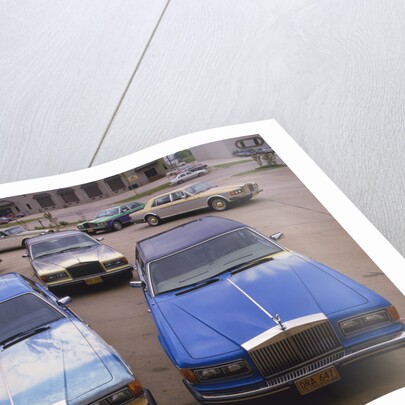 1982 Rolls Royce Silver Spur collection ex Baghwan Shree Rajneesh by Unknown