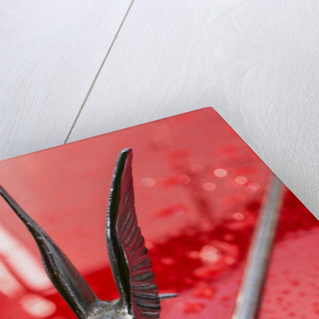 Alvis Mascot by Anonymous