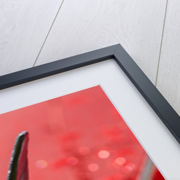 Alvis Mascot by Anonymous