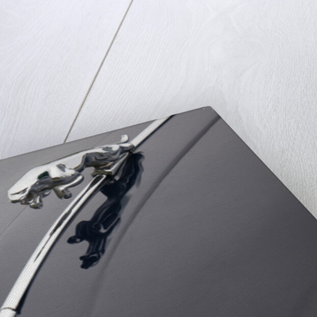 Leaping cat mascot on Jaguar XK150 by Anonymous