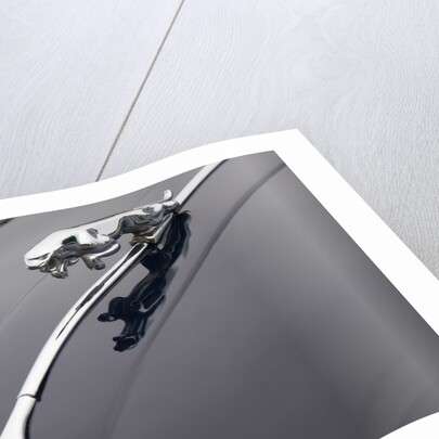 Leaping cat mascot on Jaguar XK150 by Anonymous
