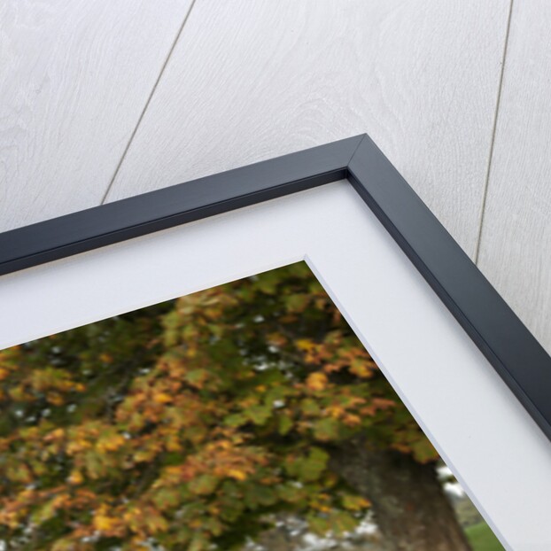 2013 Mazda 6 2.2D Sport Nav by Unknown