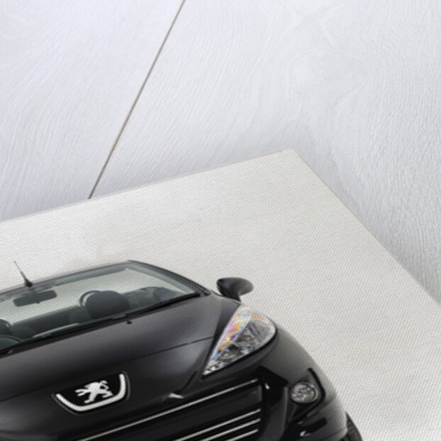 2010 Peugeot 207CC by Unknown