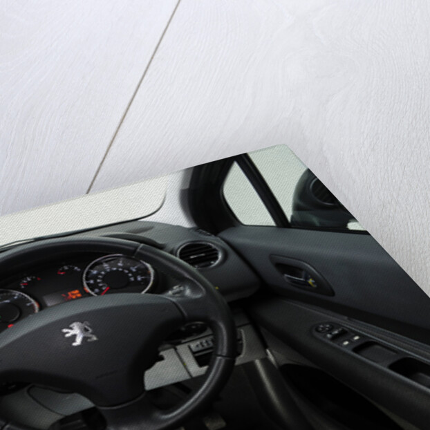 2010 Peugeot 3008 by Unknown