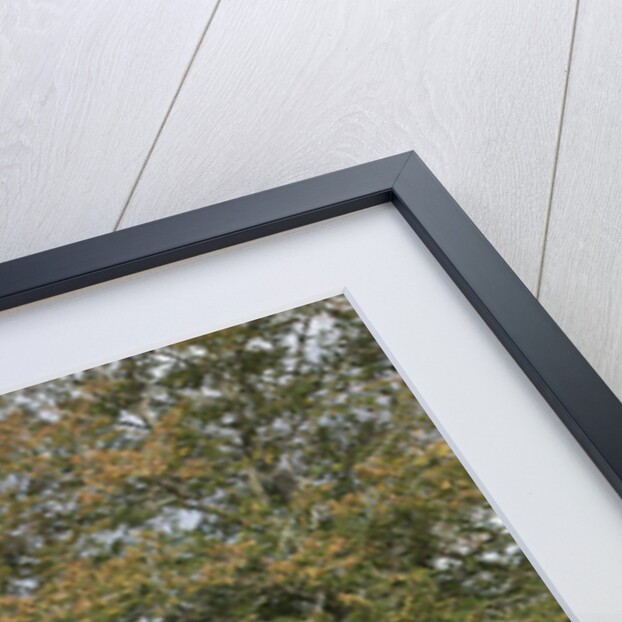 2013 Ford Fiesta Econetic by Unknown