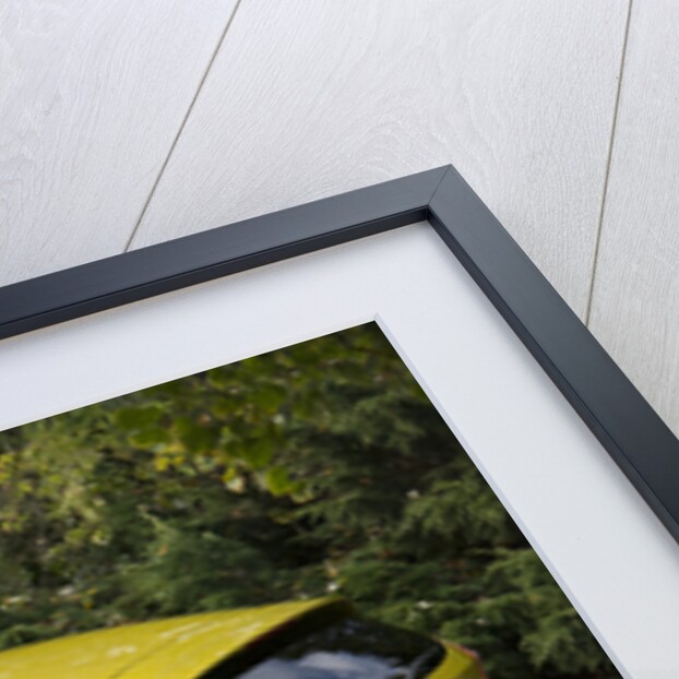 2013 Ford Fiesta Econetic by Unknown