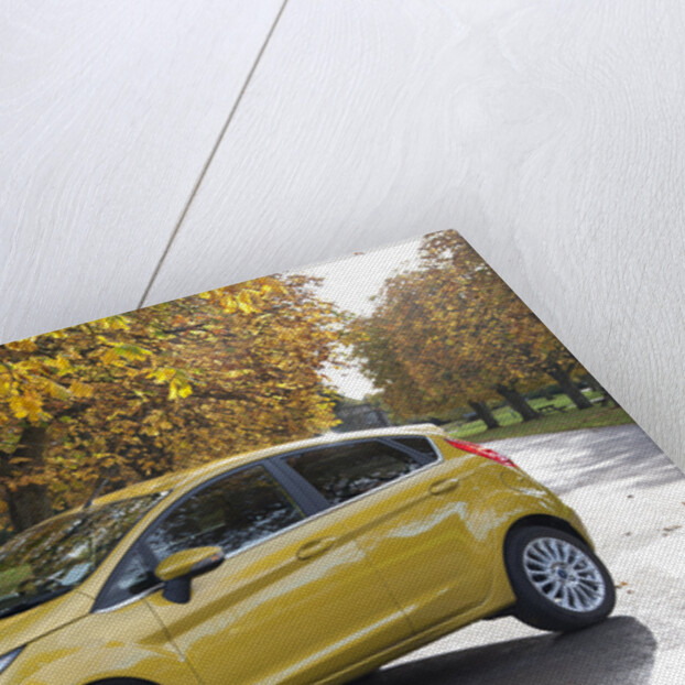 2013 Ford Fiesta Econetic by Unknown