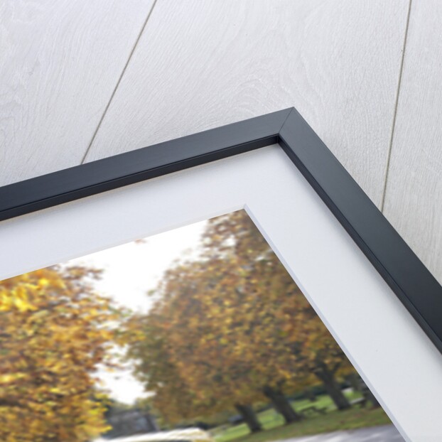 2013 Ford Fiesta Econetic by Unknown