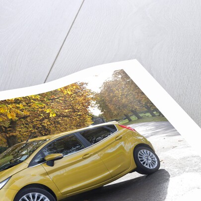 2013 Ford Fiesta Econetic by Unknown